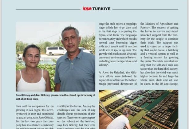 Türkiye de bir şeyler oluyor.